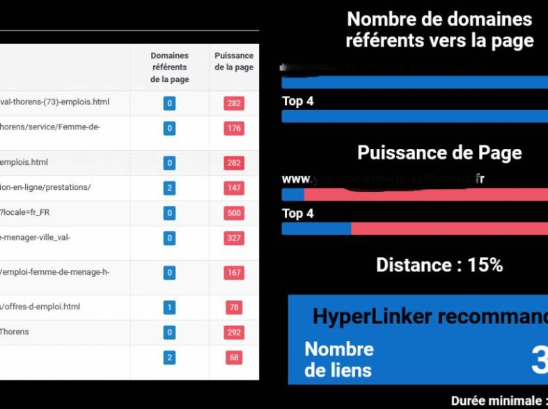 Guide complet pour maximiser vos résultats avec une plateforme de netlinking